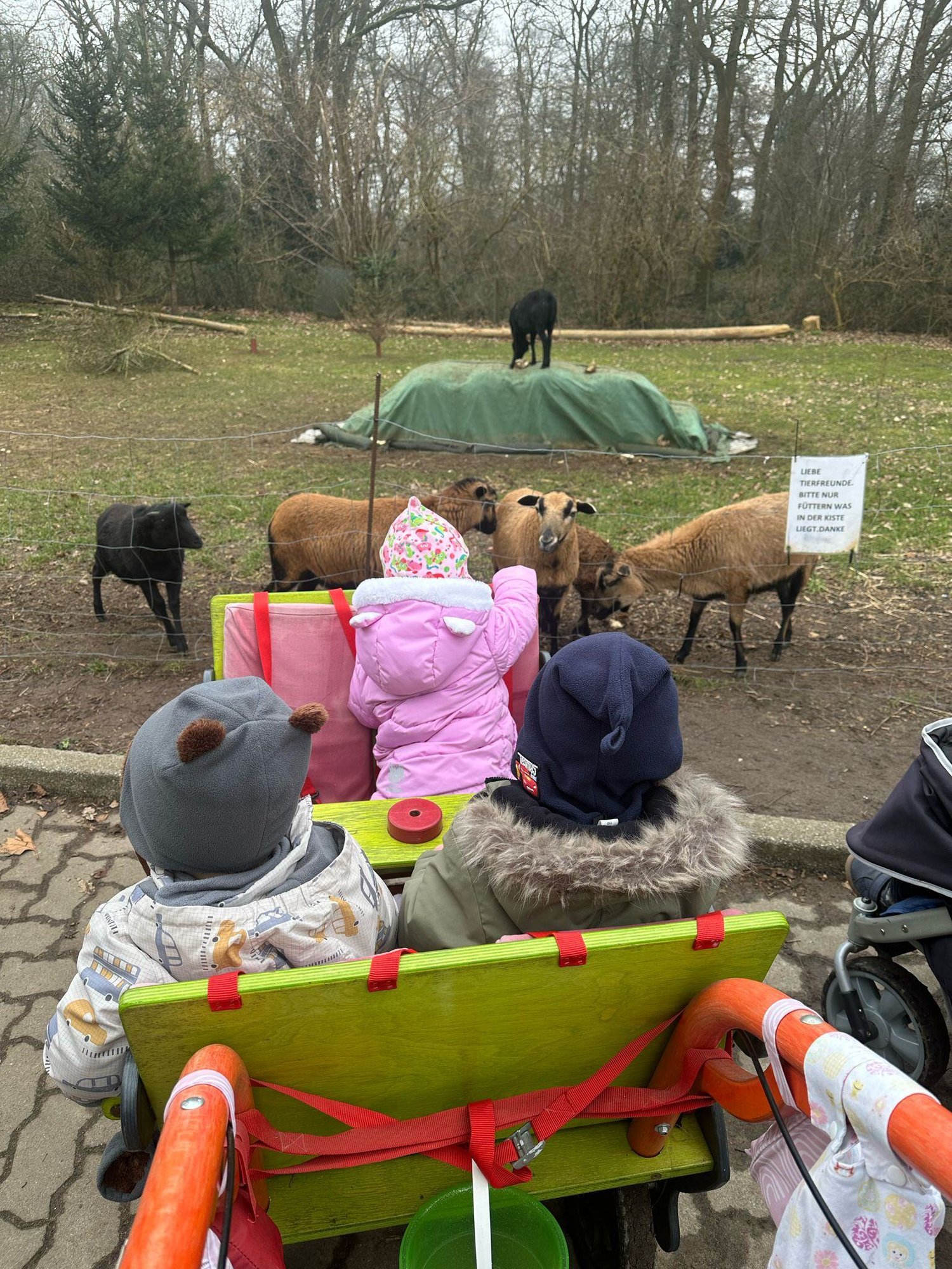 Tagesmutter im Zoo unterwegs